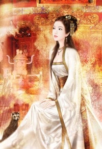 蜘蛛與蜥蜴的搏鬥